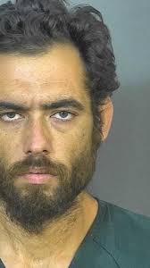 Police arrest driver involved in bike hit-and-run