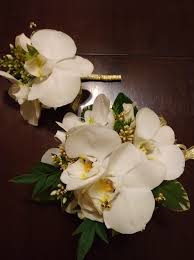 Shop online and find special deals. Flower Studio Mikan In Tierrasanta San Diego Home Facebook