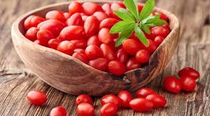 Goji Berry Kurt Uzumu Yetistiriciligi Karli Yeni Is Fikirleri 2020