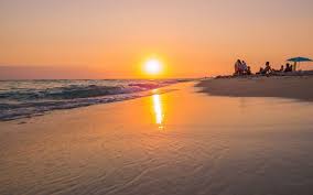 Image result for ugento