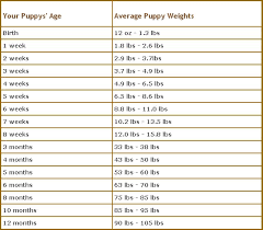 Rottweiler Growth Chart