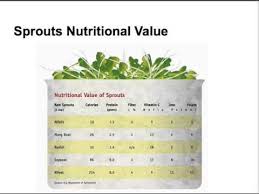 sprouts nutritional value