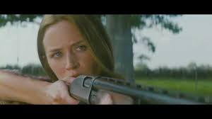 Collapsing the Fuzzy Wave: Rian Johnson's “Looper” (2012), Quantum Logics,  and the Structures of Time Travel Films