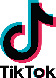 Entdecke bei tiktok kurze videos zum thema tiktok png. Download Tiktok Logo Png Transparent Background 1 Pnggrid
