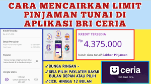 #2 sistem ceria bri sudah fully digital. Cara Mencairkan Limit Pinjaman Tunai Bri Ceria Langsung Ke Rekening Bank Youtube