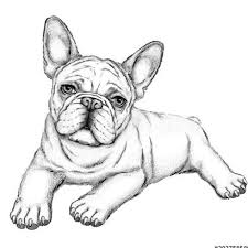 Bulldog clipart black and white. Lazy French Bulldog Planter Frenchie Lover Gift Idea Dog Etsy In 2021 French Bulldog Drawing French Bulldog Art Bulldog Sketch