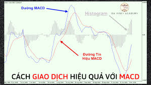 𝟏.... - Da Vinci Đà Nẵng - Đào tạo Chứng khoán thực chiến | Facebook