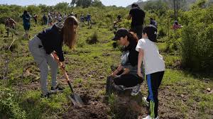 Foto del proyecto 4