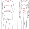 The upper respiratory tract is made up of the they take up most of the space in the chest (thorax). 1