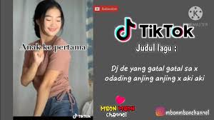 Aplikasi ini secara otomatis akan melakukan sinkronisasi dengan lagu yang sedang kita mainkan, dan selanjutnya musixmatch akan menampilkan lirik lagu tersebut secara mengambang untuk memudahkan kita membacanya. 20 Judul Lagu Terpopuler Di Tik Tok 2020 Kumpulan Judul Lagu Tiktok Terbaru 2020 Youtube