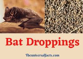 Bat Droppings Bat Guano Is An Organic And Natural Organic Fertilizer This Manure Contains The Right Nutrients For Plan Fertilizer Bat Guano Organic Fertilizer