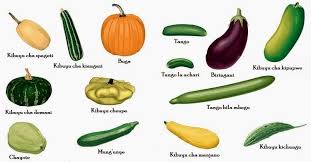 Image result for Cucurbitaceae