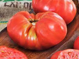 Amelia is resistant to spotted wilt virus. Interactive Tomato Chooser Choose Your Tomato Bonnie Plants Sweet Basil Tomato Basil