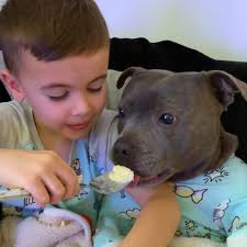 Watch this dog help his brother learn how to bike ❤️️