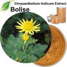 Image result for Chrysanthellum