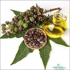 Find thousands of beauty products. Castor Oil Therapeutic Benefits Uses For Skin And Hair Health