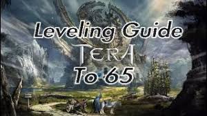 Don't forget to leave a like and subscribe if you enjoyed this video. Leveling Guide To 65 Tera Youtube