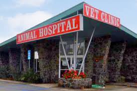 Maybe you would like to learn more about one of these? Oceanside Veterinary Hospital Oceanside Ca