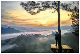 Jumat, 5 februari 2021 12:04. Pentulu Indah Tiket Berapa Di 2021 Tempat Wisata Di Kebumen Harga Tiket Masuk Bisa Saja Berubah Terutama Untuk Musim Liburan Seperti Bulan Juli Atau Desember Ada Baiknya Menghubungi Pengelola Terlebih