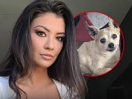 Real World: Portland' Star Averey Tressler's Dog Dies