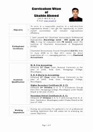 12 unique sle resume for articleship