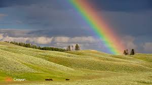 Download and use 6,000+ team stock photos for free. 20 Free Spring Backgrounds For Microsoft Teams Crayon