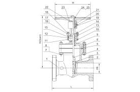 Gate Valve Class 900 Beric Valves