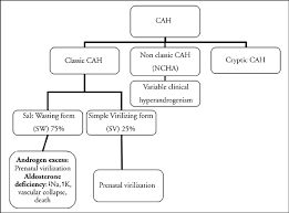 Cah Enzyme Diagram Wiring Diagrams