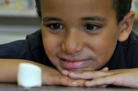 Learning and education