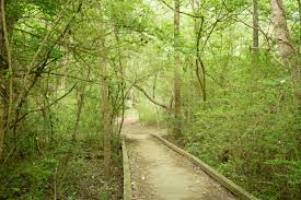 The main loop offers views of the chattahoochee river between the trees, while the wooded trails frequently cross creeks and traverse the rim of small valleys. Chattahoochee River National Recreation Area Cochran Shoals Columns Drive Interstate North Atlnature