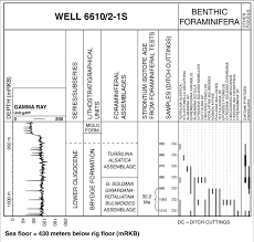 fig a10 range chart of the most important foraminiferal