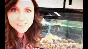 Trout Update FES, PUSD 031920