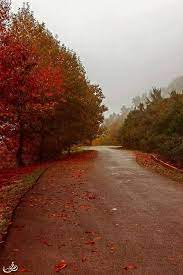 إليك أجمل و أروع 18 صورة لفصل الخريف في الجزائر في بلادي algeria country roads tourism