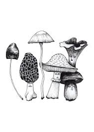 Black And White Mushroom Drawing El Lugar Para Comprar Y Vender Todo Lo Que Esta Hecho A Mano In 2020 Art Mushroom Art Mushroom Drawing