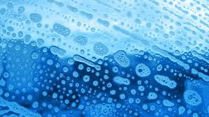 See reviews, photos, directions, phone numbers and more for the best mold testing & consulting in marlton, nj. Marlton House Cleaning House Cleaning Service
