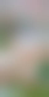 Chucky Christmas- Smudge - Porn Cartoon Comics