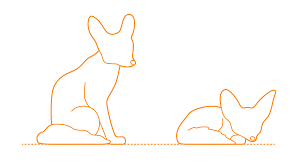 Putting thorny twigs in mulched areas has done the trick. Fennec Fox Dimensions Drawings Dimensions Com
