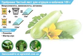 We did not find results for: Udobrenie Chistyj List Dlya Ogurcov I Kabachkov 100 G Kupit Po Luchshej Cene V Dnepropetrovskoj Oblasti Ot Kompanii Agroretail Com Ua 305440684