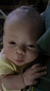 Aden Ahlgren Obituary 2021