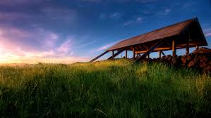 Image result for best images in the world