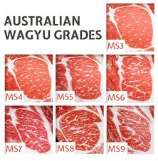 wagyu beef today gourmet foods of nc