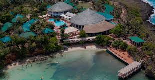 Image result for Melia