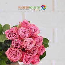 Flowers make a great gift for all kinds of special occasions including birthday, valentine's day at the international florist site, don't forget to select the delivery destination to see the available offers. Bright And Beautiful To Behold But Pink Roses Are Also Fabulously Versatile When You Have Something Import Flower Delivery Flower Meanings Send Flowers Online