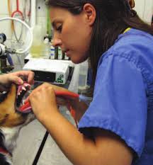 Injecting medicines accountability into practices