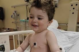Fundraiser for Reinhard Gale by Lindy Gale : Caring for Our Brave Little  Boy at Sickkids