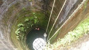 Image result for à´àµà´³à´¿à´«àµà´ à´¬à´¾à´àµà´àµà´°à´¿à´¯