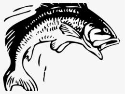Download Free Fishing Pole Clip Art With No Background Clipartkey