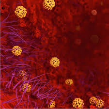 A notícia foi avançada pelo flamengo, em comunicado, e a contraprova está agora a ser realizada. Chemistry In Coronavirus Research A Free To Read Collection From The American Chemical Society