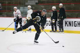 Maybe you would like to learn more about one of these? Vegas Born Golden Knight Nick Holden S Wife Delivers Son Las Vegas Review Journal