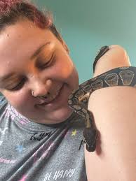 Snake wearing a hat picture discussion